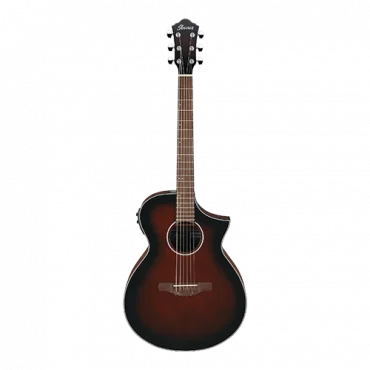 IBANEZ AEWC11-DVS ozvučena akustična gitara