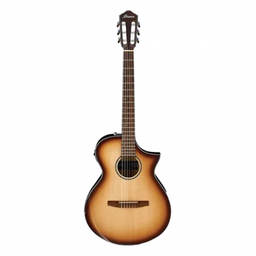 IBANEZ AEWC300N-NNB ozvučena akustična gitara