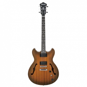 IBANEZ Električna gitara Hollow Body - AS53-TF