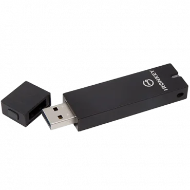 KINGSTON USB Flash memorija 16GB  IKS250B