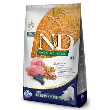 N&D ANCESTRAL GRAIN Lamb Blueberry Medium and Maxi 12 kg Hrana za pse