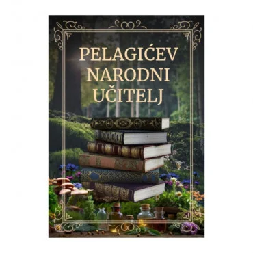 Pelagićev narodni učitelj Vasa Pelagić